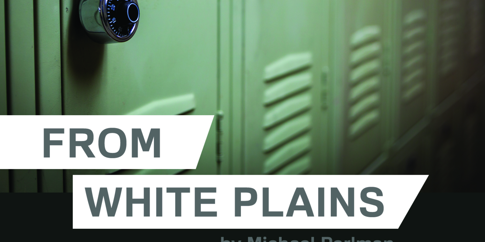 From White Plains by Michael Perlman