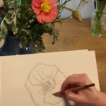 Spring Flower Line Drawing