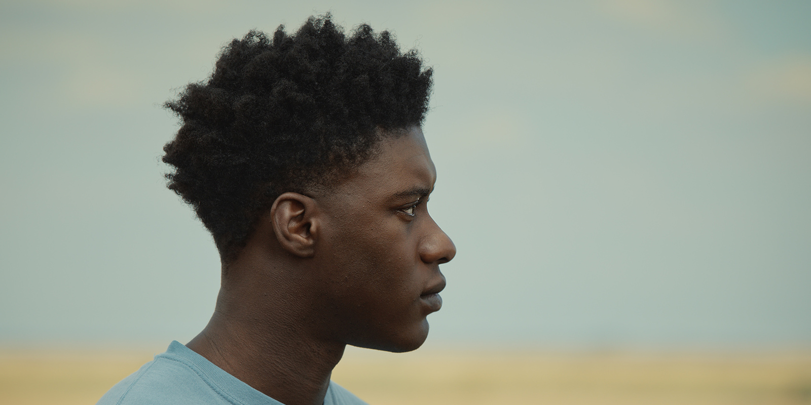 The Last Tree (Shola Amoo, 2019) STREAMING ONLINE