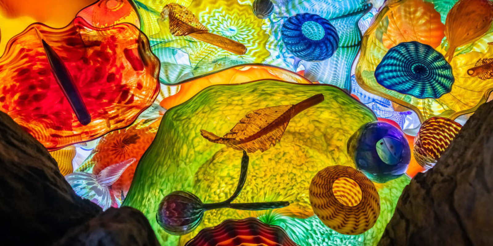 Chihuly Collection