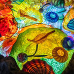 Chihuly Collection