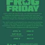 Frog Friday