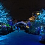 Conservatory Aglow