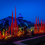 Event photo for: Chihuly Nights