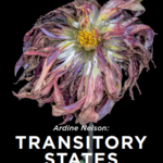 Ardine Nelson: Transitory States