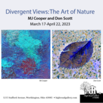 Фото с мероприятия: Divergent Views: The Art of Nature