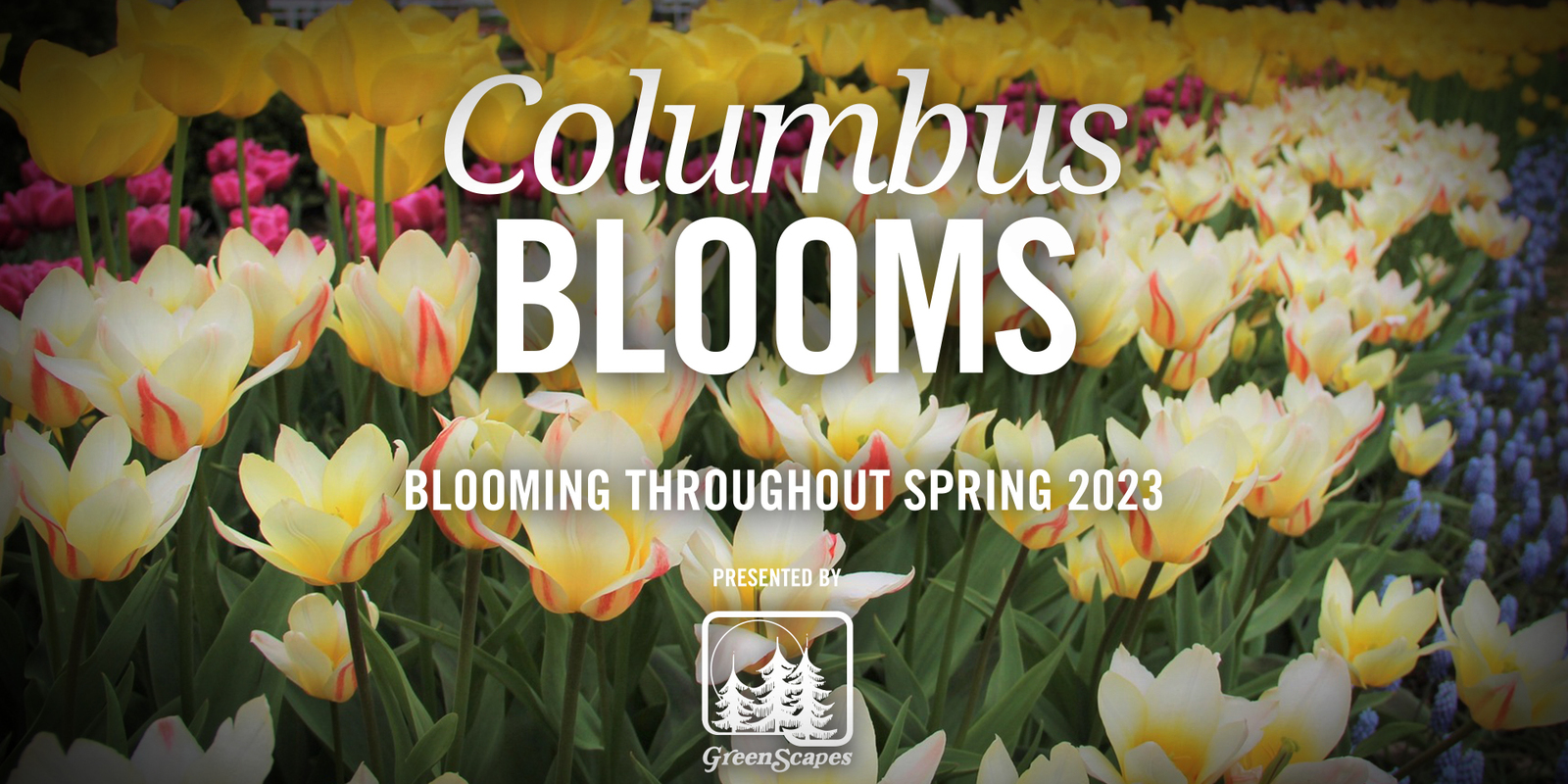 Columbus Blooms (enUS)