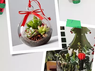 Brewdog New Albany: Build Your Own Succulent Ornament Terrarium: Dig, Drink, and Be Merry