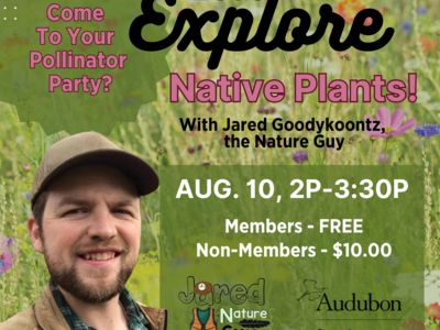 Let's Explore Native Plants