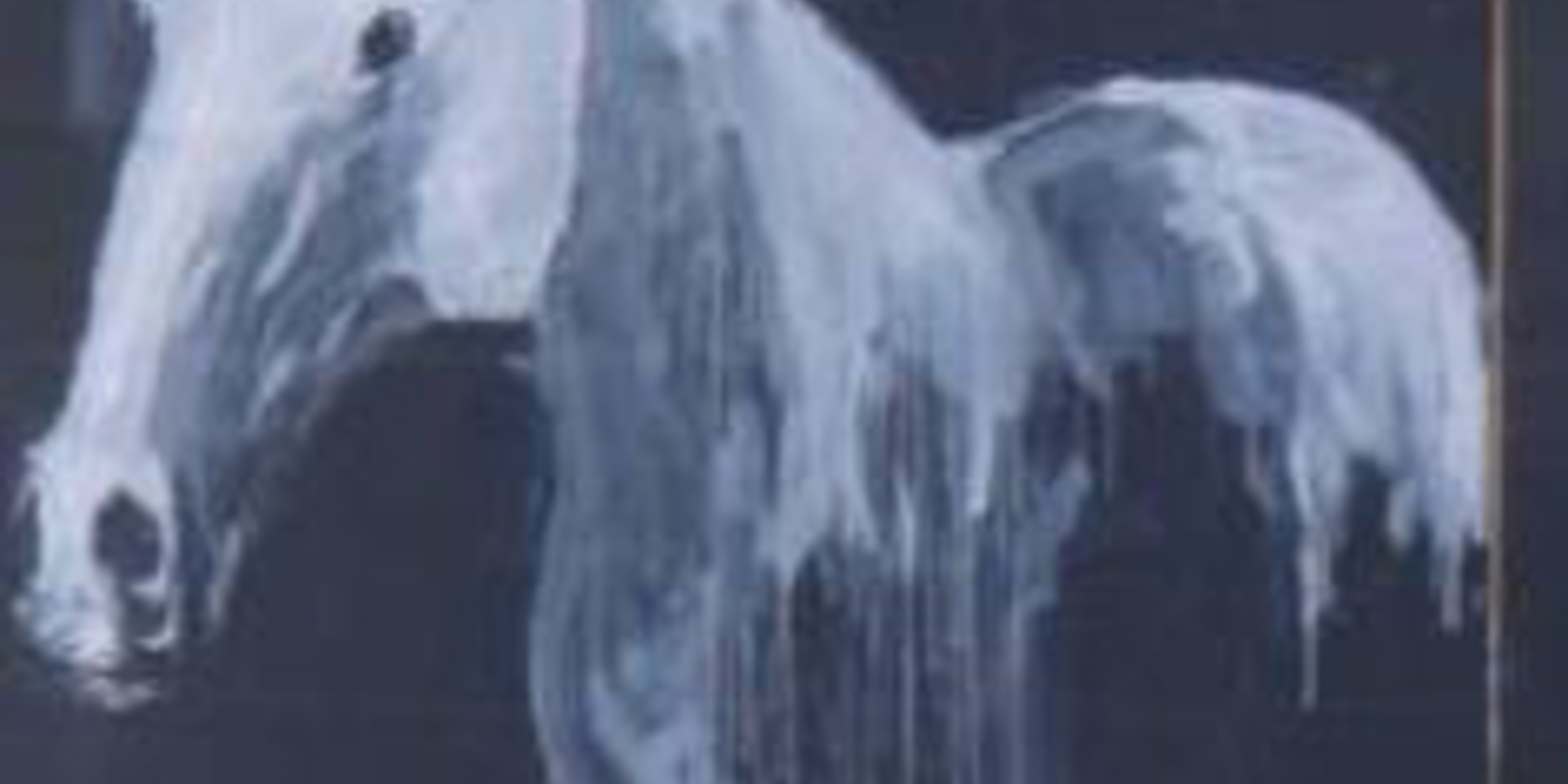 Harvey the Horse (enUS)