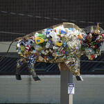 Trash Buffalo