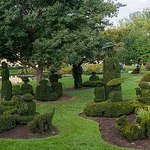 Topiary Gardens: A Sunday Afternoon on the Isle of La Grande Jatte