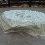Mudflat Stone