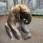 ELEPHANT CHILD