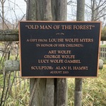 Old Man of the Forest