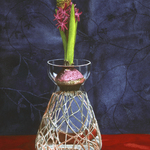 Steven Elbert: Hyacinth