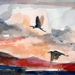 Denise Lancaster: Birds Flying During Sunset