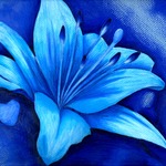 Maria Palmer: Blue Lilly