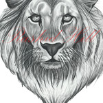 Rashid Hill : Lion