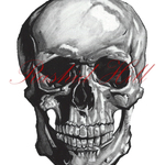 Rashid Hill : Skull