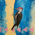 Erica Ott: Pileated Woodpecker