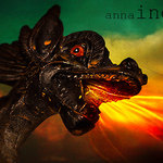 Anna Inez Photography: Dragon