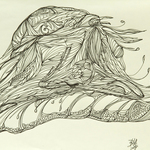 B. A. Heimlich: The Snail