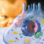 michael cooley: Michael A. Cooley, Baby and Cell, 1999, Airbrush. Self promotional campaign. Â© M Cooley