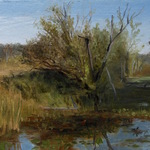 Mary Jane Ward: Tree at Beaver Marsh