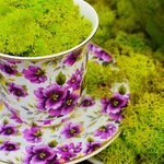 Katherine Baxter: Forest Tea