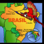 Phillip Martin: Map of Brazil