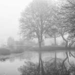 Roberta Kayne: 3-19-19-Fog-on-Pond-Hula-Valley_DSF4651-REVISED-SMALL.jpg